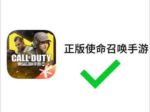 怎么下载正版使命召唤[图2]