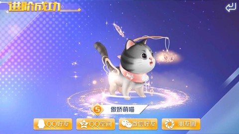 qq炫舞用什么宠物[图1]
