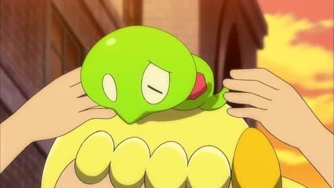 小软是什么神奇宝贝