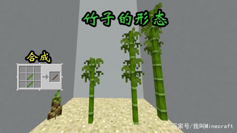 我的世界竹子怎么得