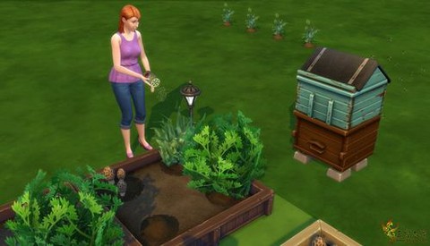 模拟人生4如何施肥[图1]