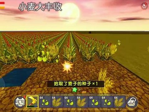迷你世界怎么收获小麦[图1]